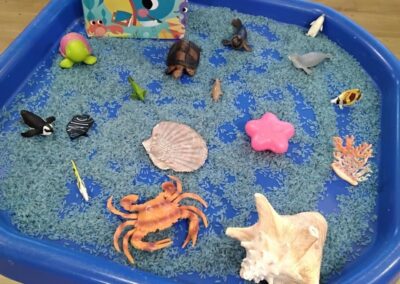 Under the sea