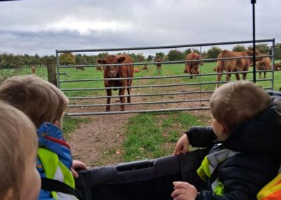 Little Woodlands Day Nursery I Day Trip Cows