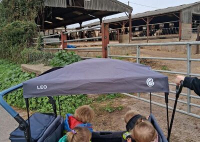 Little Woodlands Day Nursery I Day Trip Cows in Barn